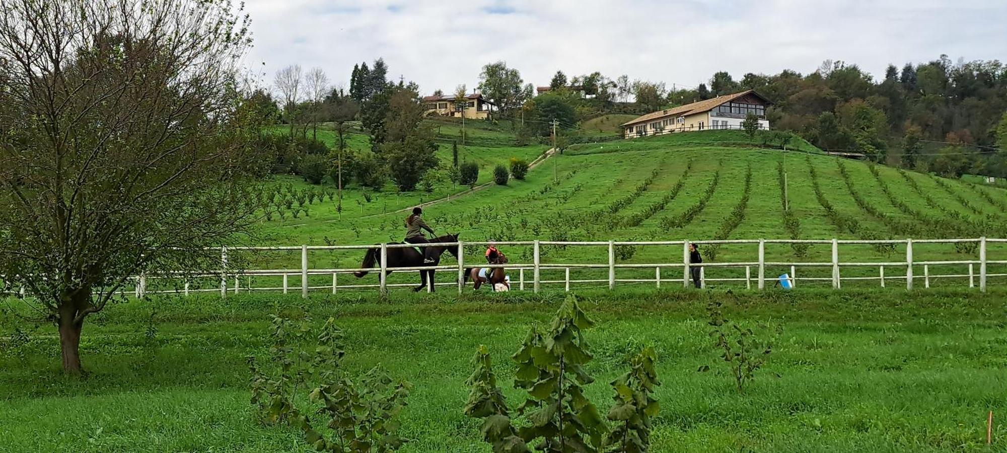Villa Cascina Fazioli Alfiano Natta Esterno foto