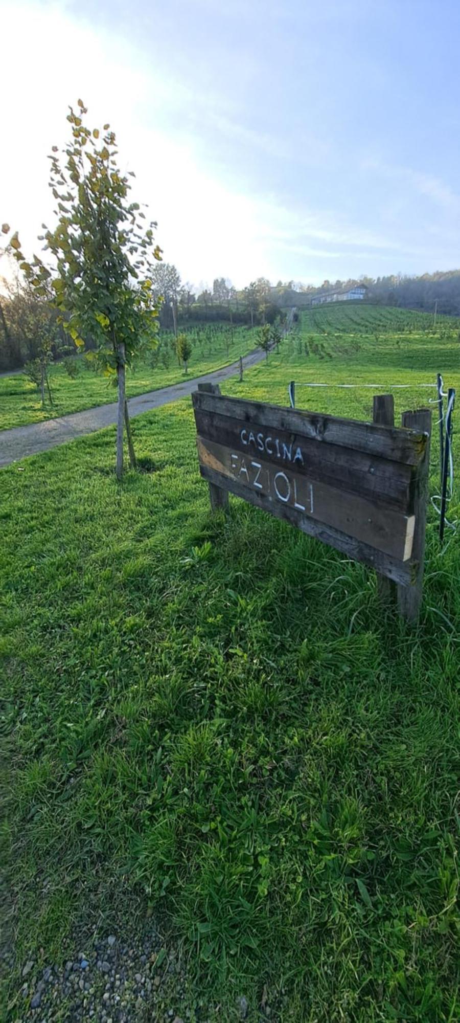 Villa Cascina Fazioli Alfiano Natta Esterno foto