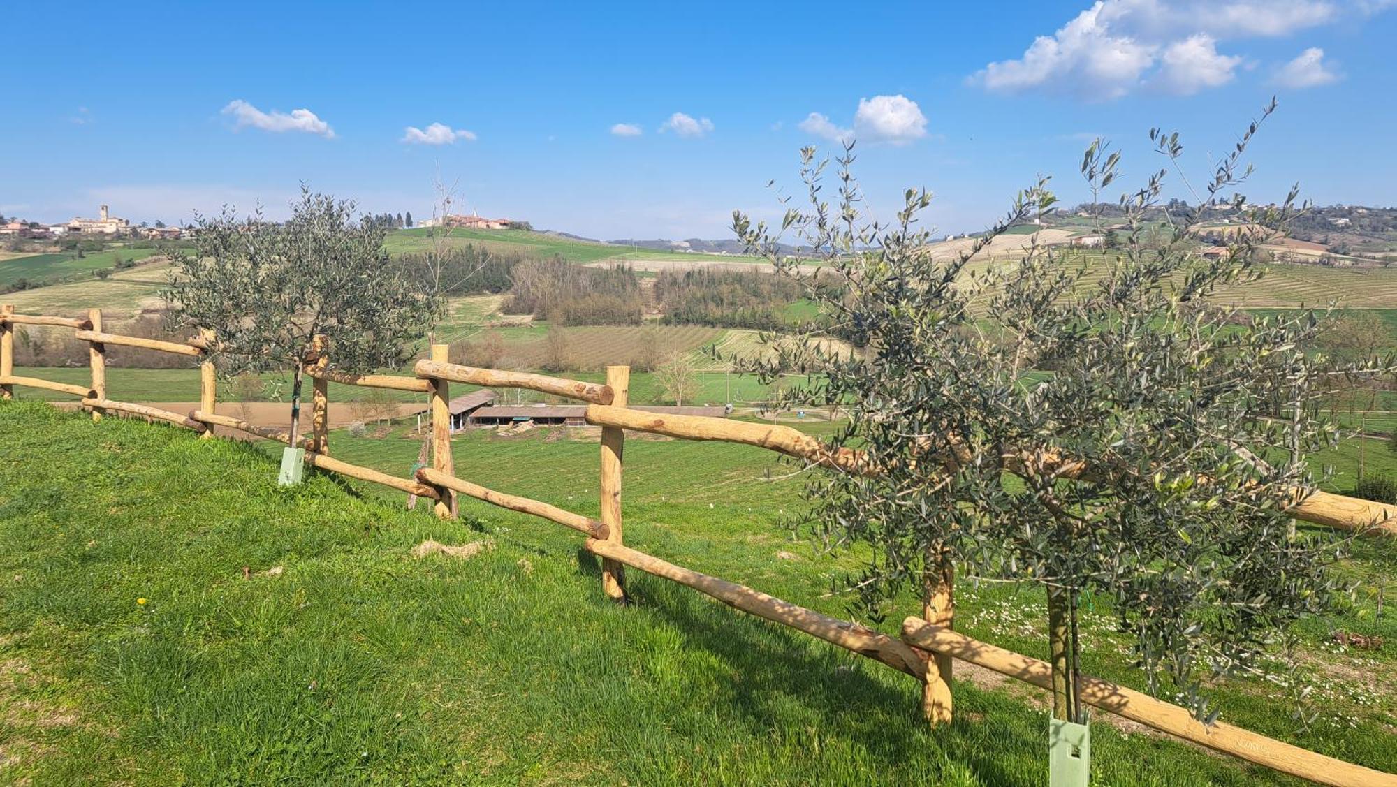 Villa Cascina Fazioli Alfiano Natta Esterno foto